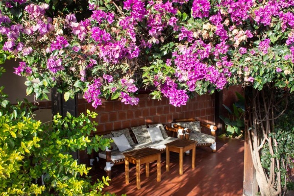 Hotel Boutique La Candela image 14