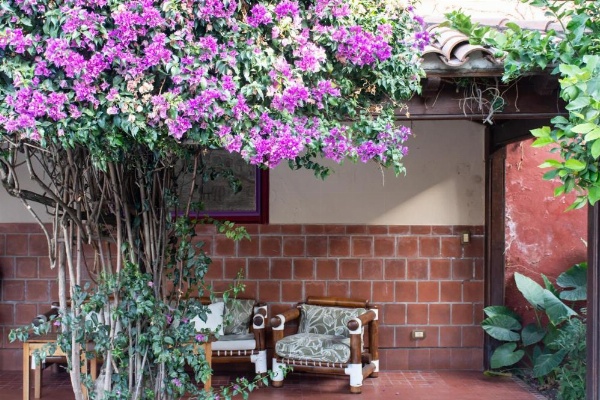 Hotel Boutique La Candela image 16